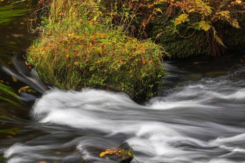 Flowing water with ferns and rocks in the Edmunds Gorge in autumn. River Kamnitz, Hrensko, Ustecky