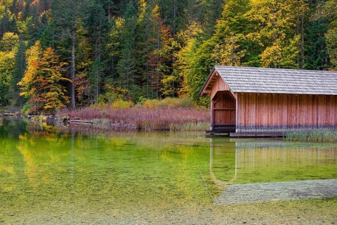 Lake Toplitz, forest in full autumn colors, Boatshelter, Austria, Europe