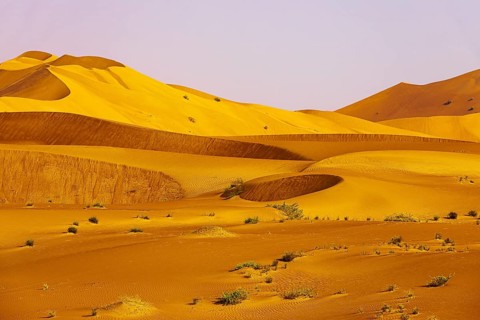 Wind-sculpted curved sand dunes in the Rub al Khali desert, Dhofar province, Arabian Peninsula,