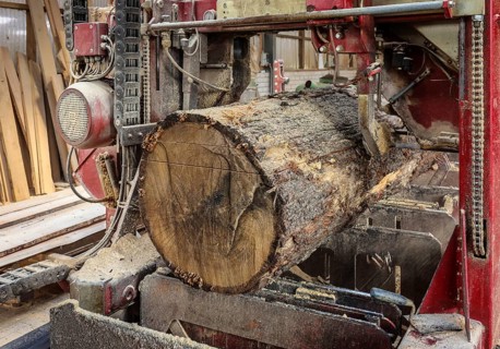 Solingen, North Rhine-Westphalia, Germany - Oak logs on the bandsaw in the sawmill, construction