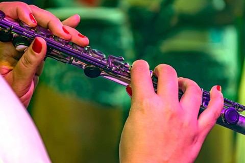 Detail of a woman playing the transverse flute during a musical performance Brazil
