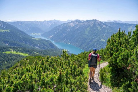 Hiker on a hiking trail between mountain pines, Unnütz crossing, Brandenberg Alps, Tyrol, Austria,