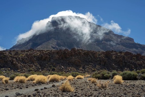 Faded Teide gorse and the summit of Montaña Guajara, also: Alto de Guajara, 2715m, crater walls,