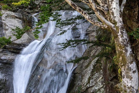 Waterfall near Sonogno, Verzasca Valley, Valle Verzasca, Canton Ticino, Switzerland, Europe