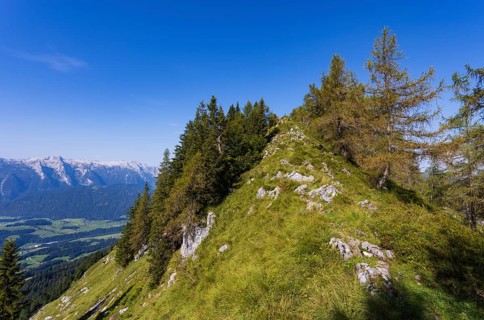 Mountain forest on the way to the Einberg with a view of the Lammertal and Tennengebirge, Postalm,