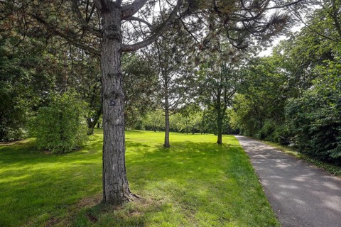 Essen, North Rhine-Westphalia, Germany - Trees, meadow and path in Emscherpark