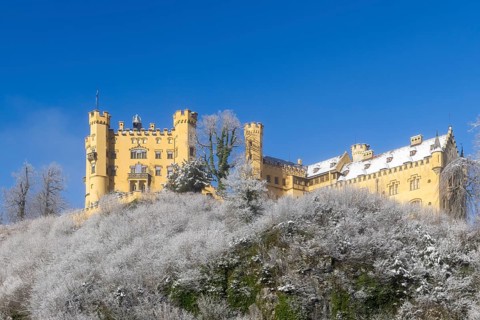 Yellow castle on a hill with snow-covered trees under a clear blue sky, Hohenschwangau Castle,