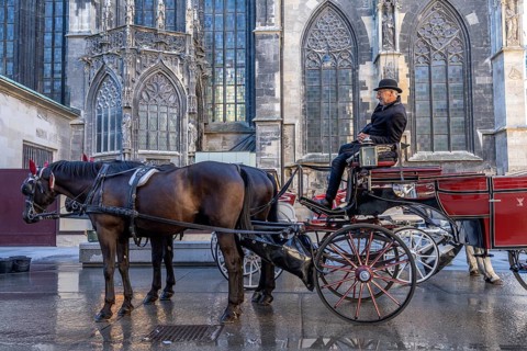 Coachman waiting for customers, Vienna, Austria, Europe