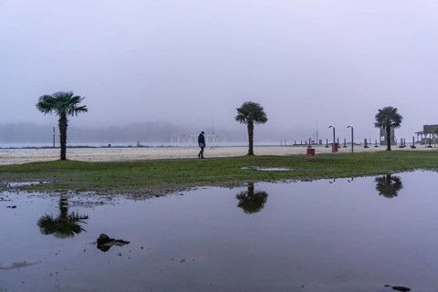 The Seaside Beach, at the Lake Baldeney in Essen, dull, very foggy January day, palm trees are
