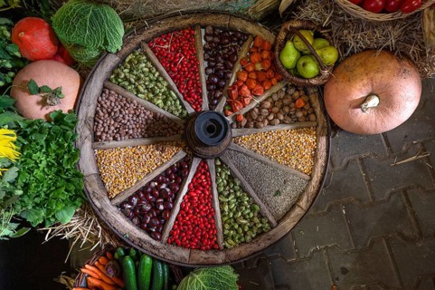 Fruit decorated in and around an old wooden spoked wheel at a harvest festival, Franconia, Bavaria,