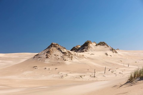 Lacka Dune on a sunny day with a blue sky in the Slowinski National Park, northern Poland on the