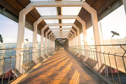 Elongated glass corridor flooded with sunlight, geometric design with birds in the background,