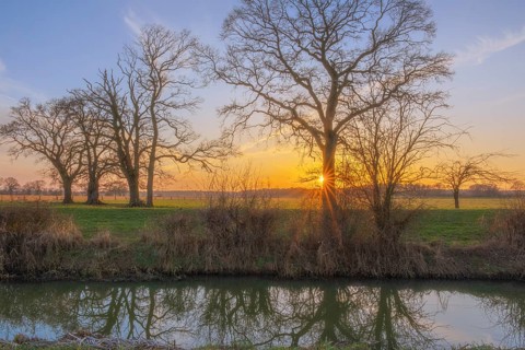 View across a ditch to the silhouettes of non-leafy trees at sunset, Kirchlinteln, Verden, Aller
