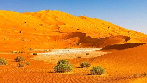 Wind-sculpted curved sand dunes with green vegetation, in the Rub al Khali desert, Dhofar province,