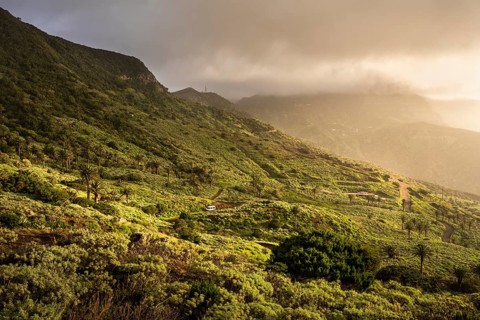 Landscape with mountains and palm trees on the north-west coast of La Gomera in the evening. Clouds