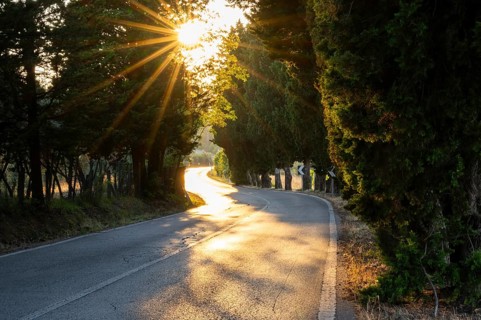 View of a strees in the tuscan landscape, country estate in Chianti at sunset, Chianti Region,