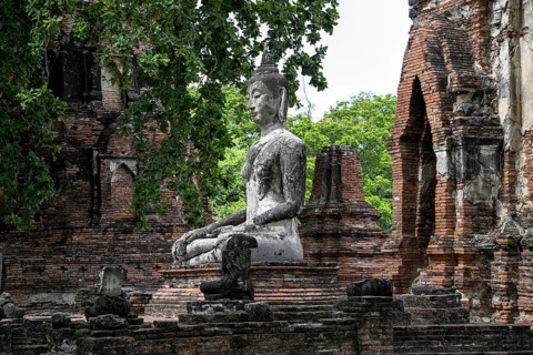 Buddha statue in Wat Mahathat Ayutthaya, Temple of the Great and Holy Relic, Ayutthaya, Ayutthaya