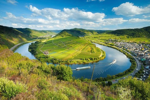 View of the Moselle loop, Bremm, Moselle valley, Rhineland-Palatinate, Germany, Europe