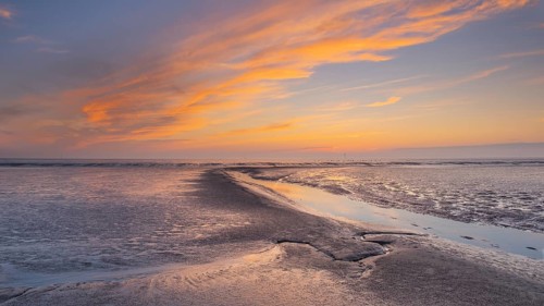 View of a tidal flat in the Wadden Sea at low tide at sunset, National Park, Unesco, World Natural