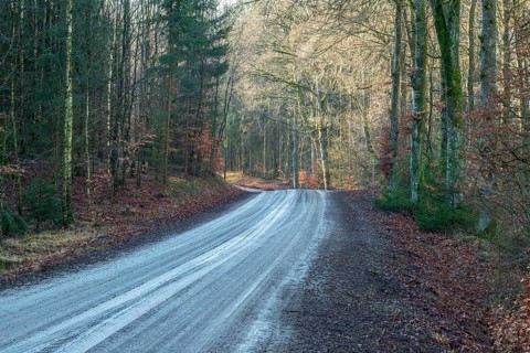 Vet gravel road in a forest in winter in Fyledalen, Ystad municipality, Skåne, Sweden Scandinavia