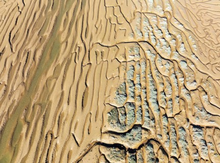 Network of channels and streams at low tide. In the marshland adjacent to the Odiel river. Aerial