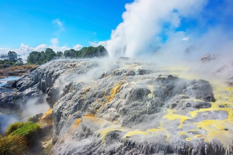 Prince of Wales and Pohutu geysers erupting, Te Puia Thermal Valley, Rotorua, Bay of Plenty, North