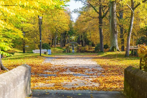 Castle park of Hermsdorf Castle with castle moat in autumn, Ottendorf-Ockrilla, Saxony, Germany,