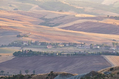 Typical Tuscan landscape in Val d'Orcia with hills, trees, fields, cypresses in autumn at sunset,