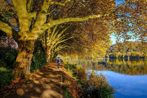 Essen, North Rhine-Westphalia, Germany - Golden autumn on Lake Baldeney