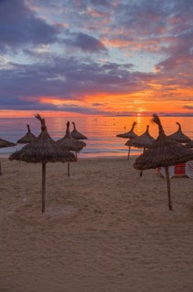 View of thatched sun shade umbrellas silhouetted against the sun at s'Arenal beach, Palma de