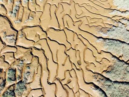 Network of channels and streams at low tide. In the marshland adjacent to the Odiel river. Aerial