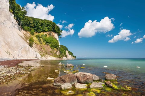 Keide coast with large stones and algae in the water of the Baltic Sea, seagulls and swans, Jasmund