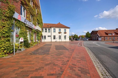 Pharmacy at the town hall, Boston ivy (Parthenocissus tricuspidata), town hall, brick building,