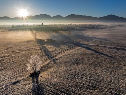 Sunrise, fog, hoarfrost, mountains, winter, tree, backlight, aerial view, Loisach-Lake Kochel moor,