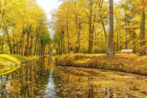 Castle park of Hermsdorf Castle with castle moat in autumn, Ottendorf-Ockrilla, Saxony, Germany,