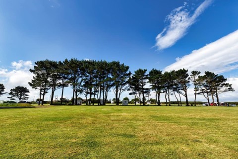 Row of trees, mobile homes on a campsite, Cirrus, Wales, Great Britain