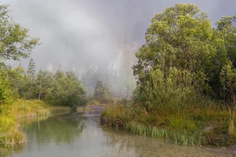 Isar valley nature conservancy area. The wild Isar river flows through its gravel bed past