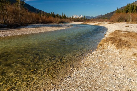 Isar valley nature conservancy area. The wild Isar river flows through its gravel bed past