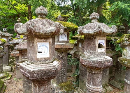 Stone lanterns, Kasuga-taisha shrine, Nara, Japan, Asia