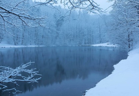 Winter magic at the Spitzgrundteich, Friedewald, Coswig, Saxony, Germany, Europe