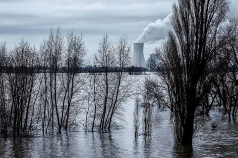 Duisburg, North Rhine-Westphalia, Germany - Flood on the Rhine, the trees on the dyke in the