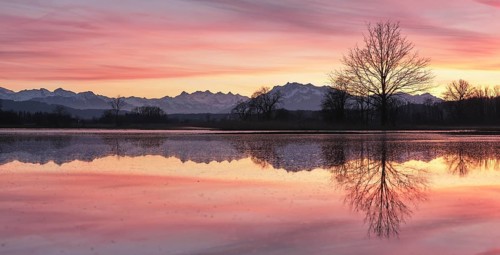 Pilatus reflected in the flooded nature reserve in the evening light, Reussspitz, Hünenberg, Canton