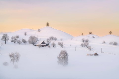 Snow-covered hilly landscape with ground fog at dawn, Menzingen, Canton Zug, Switzerland, Europe