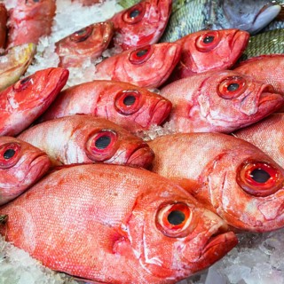 Red Sea Fish, Fish Market in Hurghada, Egypt, Africa