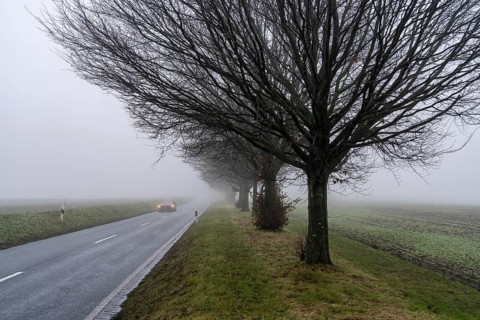 Dense fog, with visibility sometimes less than 100 metres, country road, Schuirweg, in Essen, North