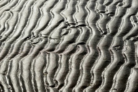 Beach at low tide with wave-like pattern, current ripples, North Sea, Norderney East Frisian