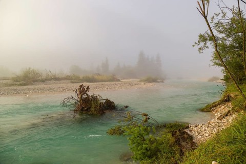 Isar valley nature conservancy area. The wild Isar river flows through its gravel bed past