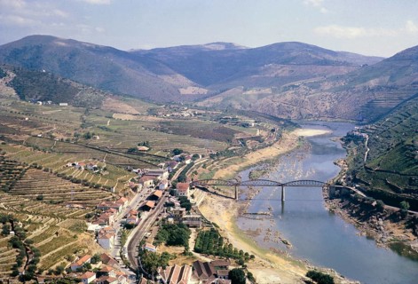 Herstellung von Portwein in Portugal um 1960 Landschaft im Douro-Tal Weinreben auf Hangterrassen um