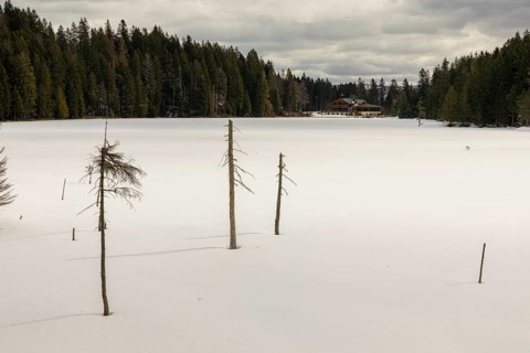 Lake Grosser Arbersee in late winter. The lake and the adjacent forest are snow covered. Germany,