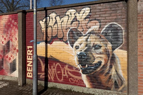 Hyena, graffiti on a brick wall by street artist BENER1, Urban Art Gallery Krefeld, North